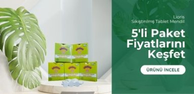 Lioris tablet mendil